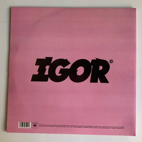 Vinyl Igor, cracked, for parts only! - Picture 2 of 9